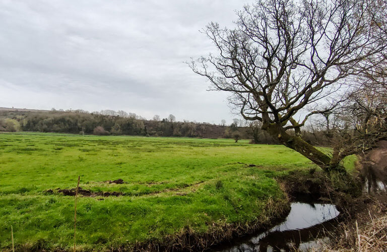 Amberley Stream