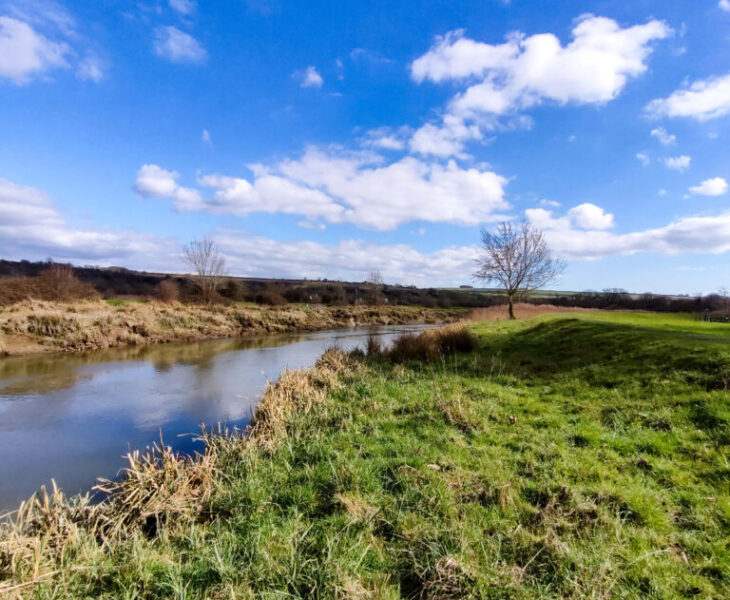 Sussex walk, the river arun