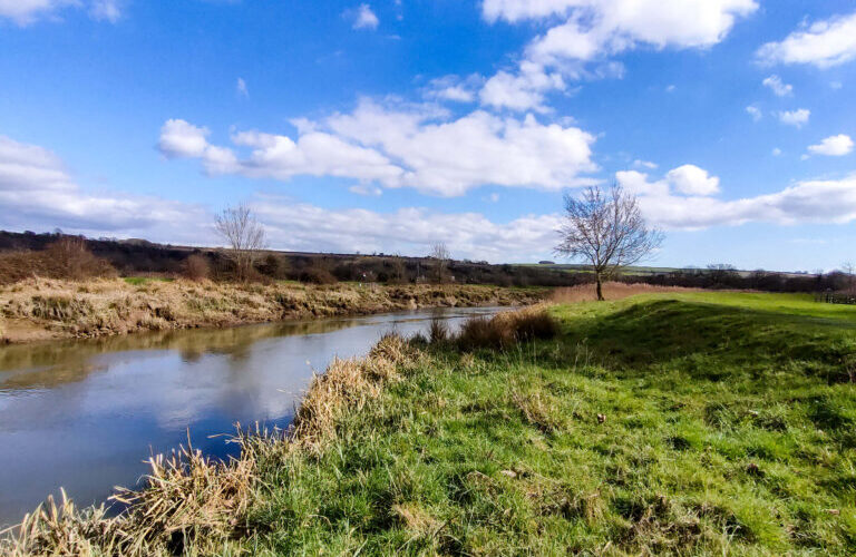 Sussex walk, the river arun