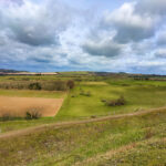 views of fields on cissbury ring walk