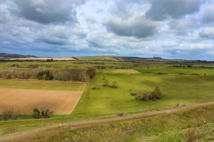 views of fields on cissbury ring walk